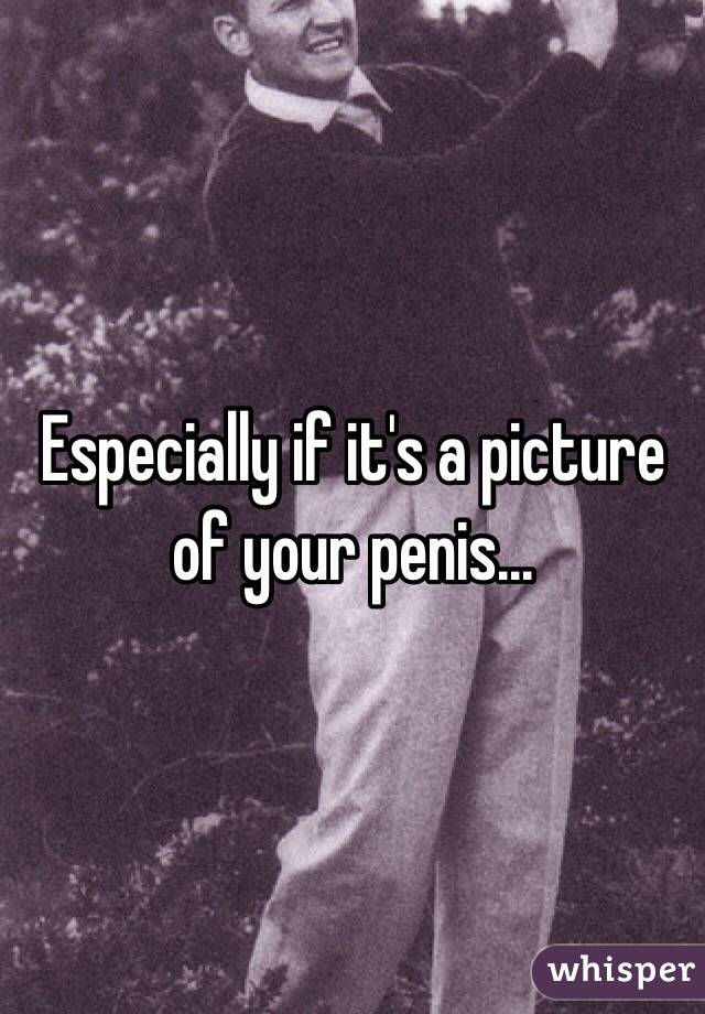 Especially if it's a picture of your penis...