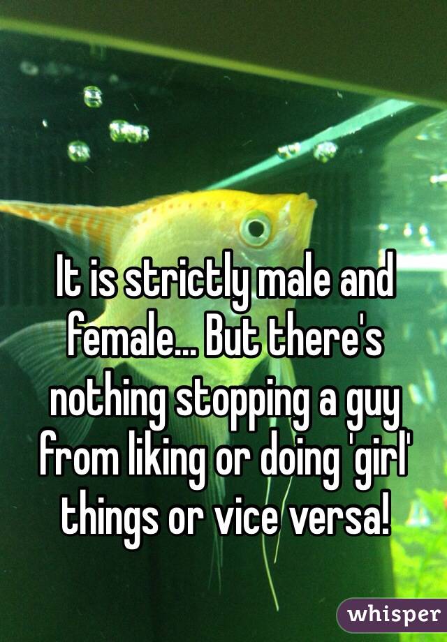 It is strictly male and female... But there's nothing stopping a guy from liking or doing 'girl' things or vice versa! 