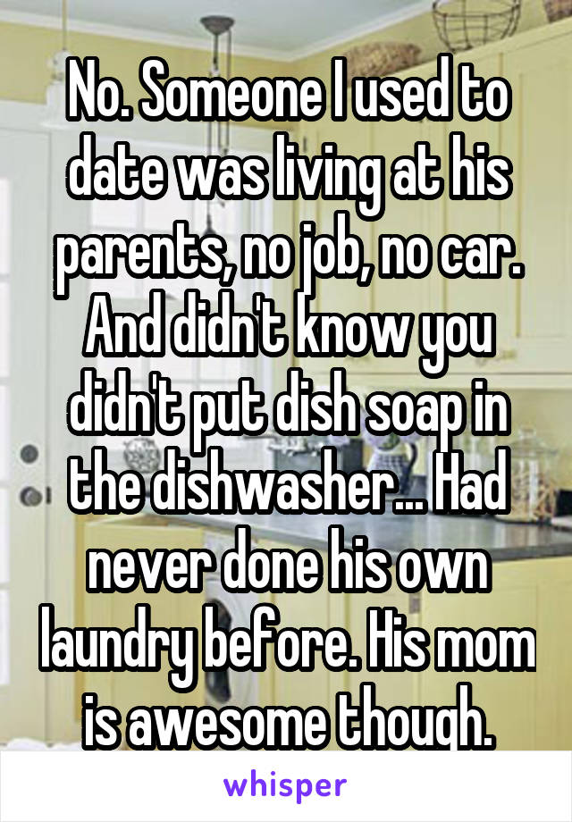No. Someone I used to date was living at his parents, no job, no car. And didn't know you didn't put dish soap in the dishwasher... Had never done his own laundry before. His mom is awesome though.