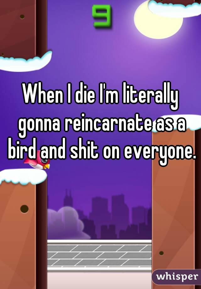 When I die I'm literally gonna reincarnate as a bird and shit on everyone. 
