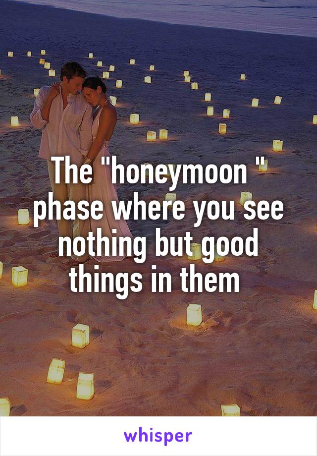The "honeymoon " phase where you see nothing but good things in them 