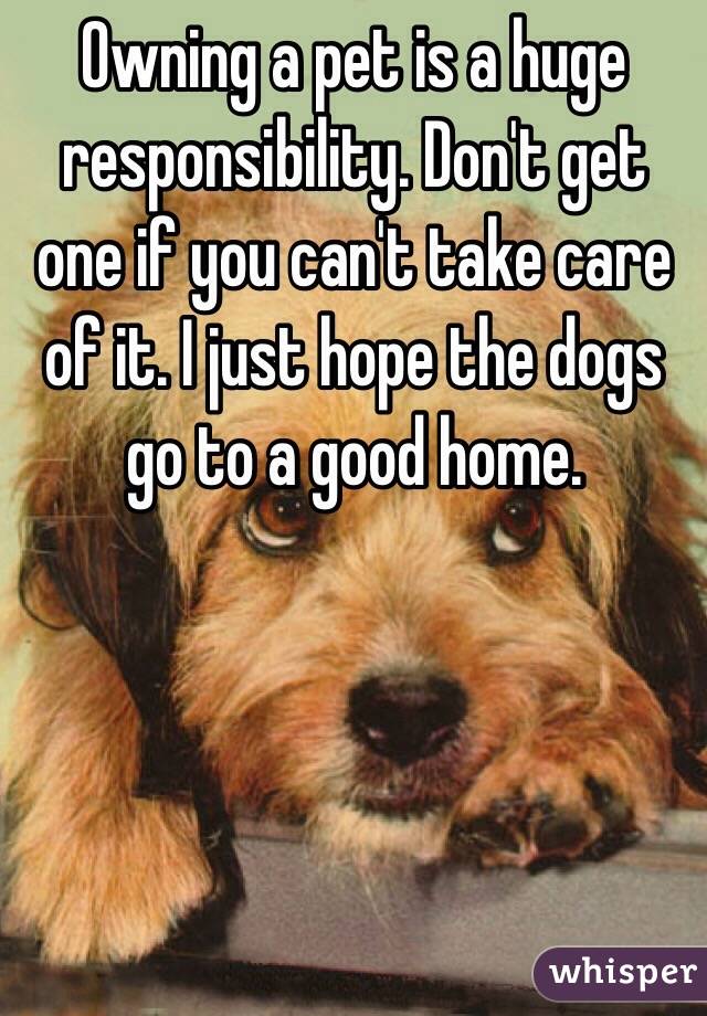 Owning a pet is a huge responsibility. Don't get one if you can't take care of it. I just hope the dogs go to a good home. 
