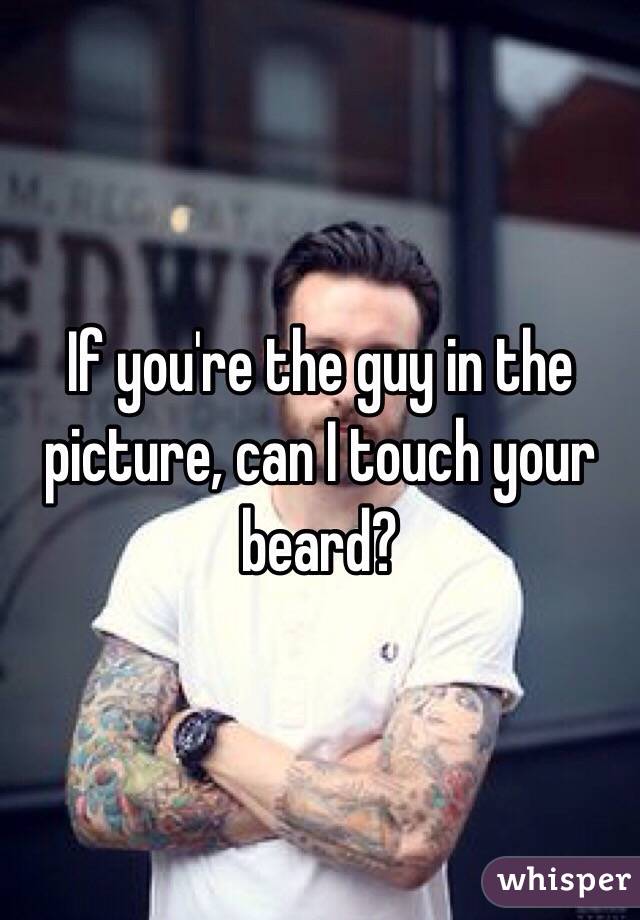 If you're the guy in the picture, can I touch your beard?