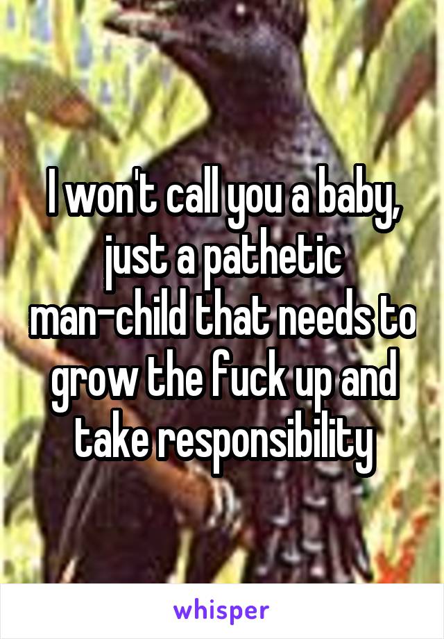 I won't call you a baby, just a pathetic man-child that needs to grow the fuck up and take responsibility