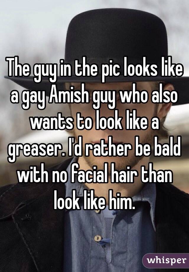 The guy in the pic looks like a gay Amish guy who also wants to look like a greaser. I'd rather be bald with no facial hair than look like him.