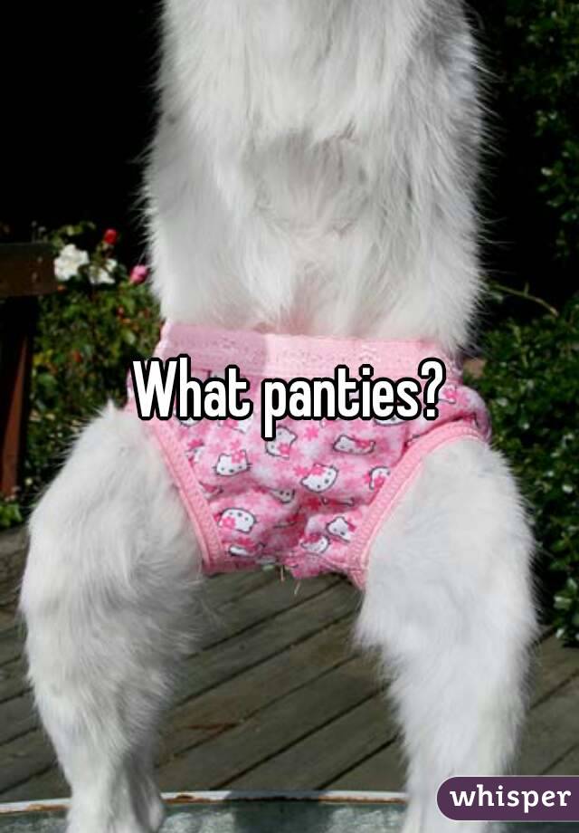 What panties?