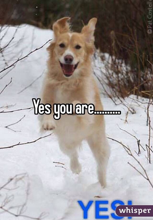 Yes you are..........