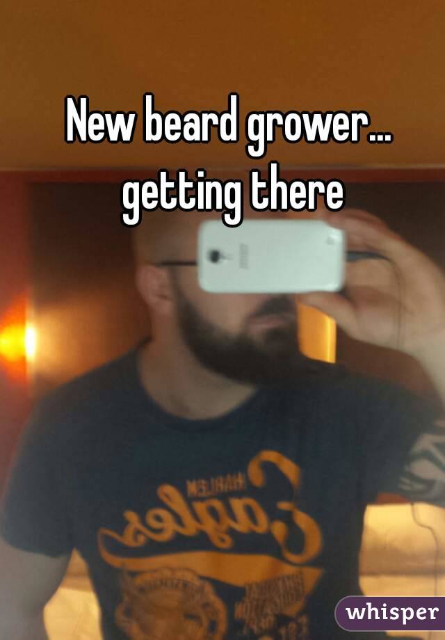 New beard grower... getting there