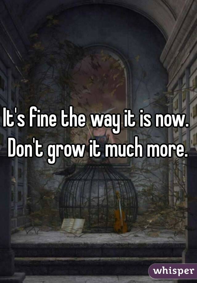 It's fine the way it is now. 
Don't grow it much more.