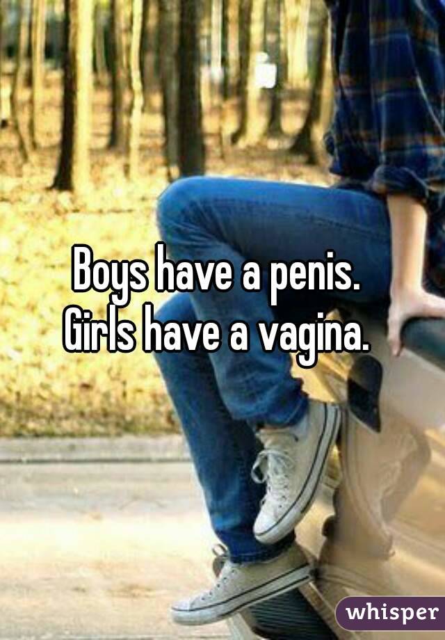 Boys have a penis. 
Girls have a vagina. 