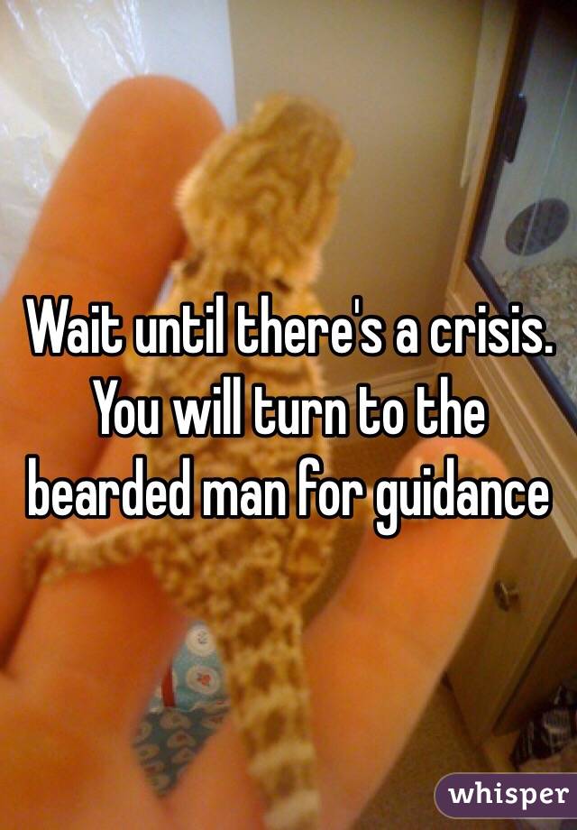 Wait until there's a crisis. You will turn to the bearded man for guidance 