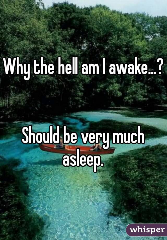 Why the hell am I awake...? 

Should be very much asleep. 