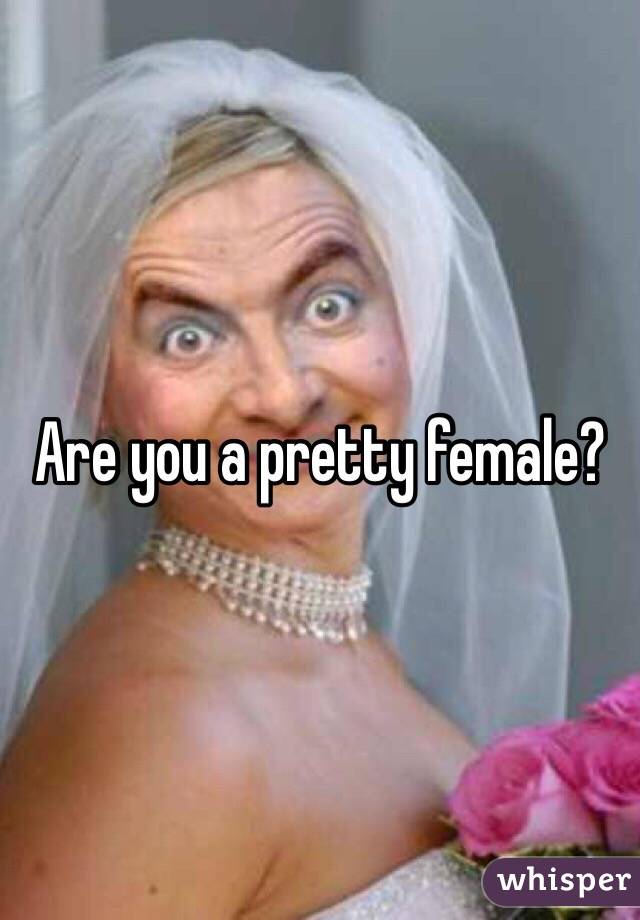 Are you a pretty female?