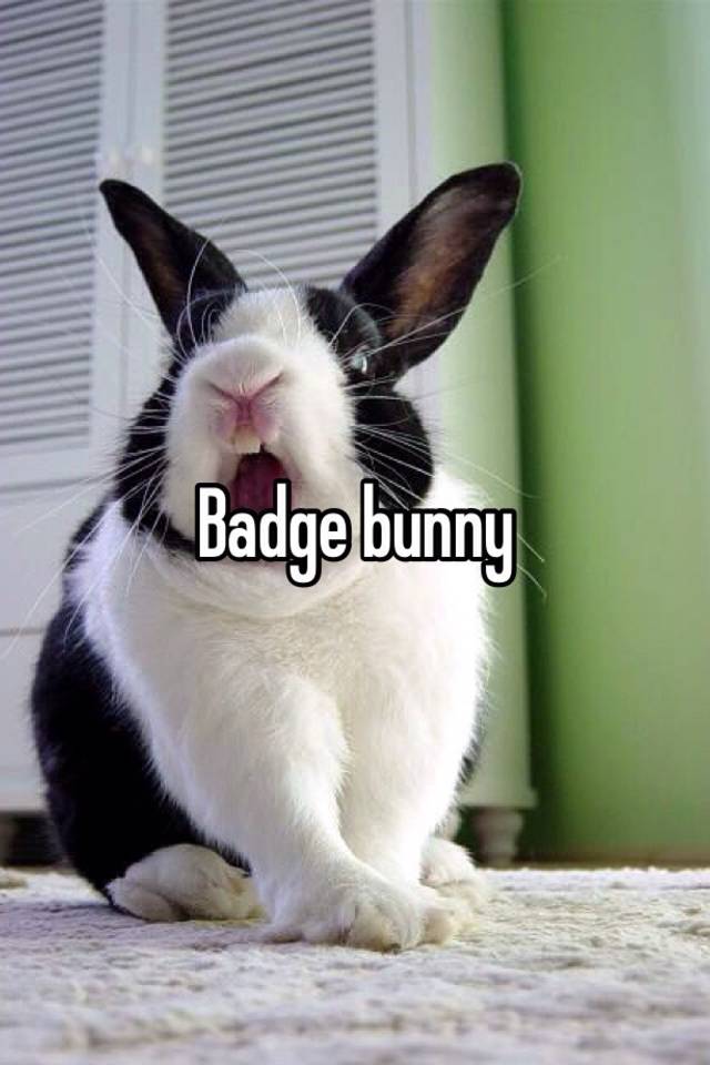 badge-bunny