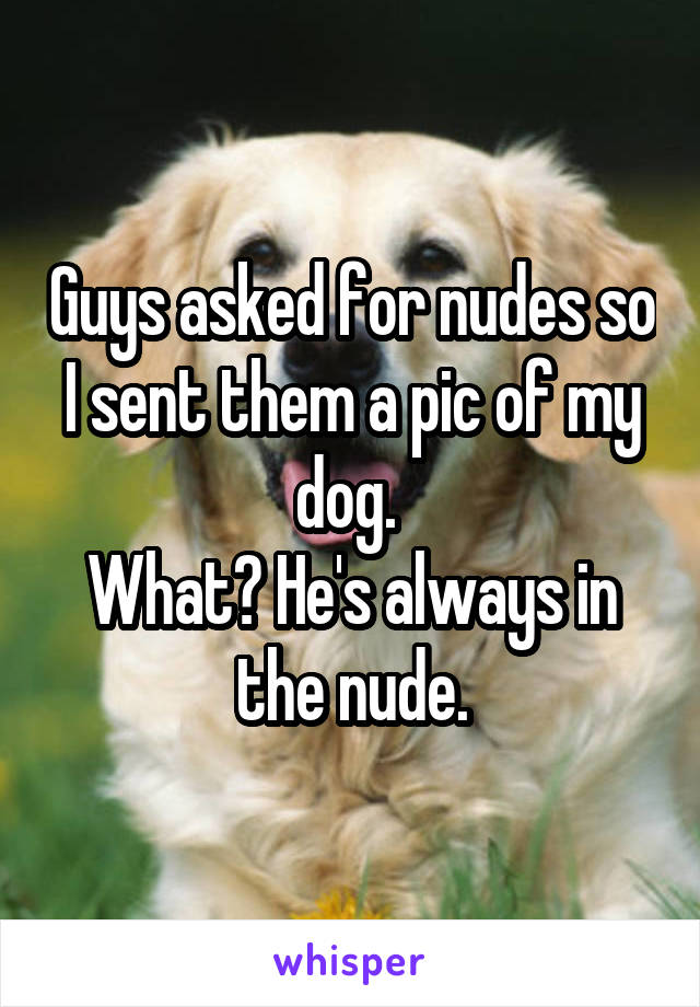 Guys asked for nudes so I sent them a pic of my dog. 
What? He's always in the nude.