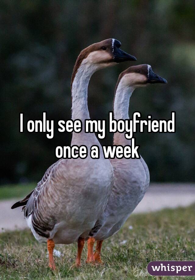 I only see my boyfriend once a week 