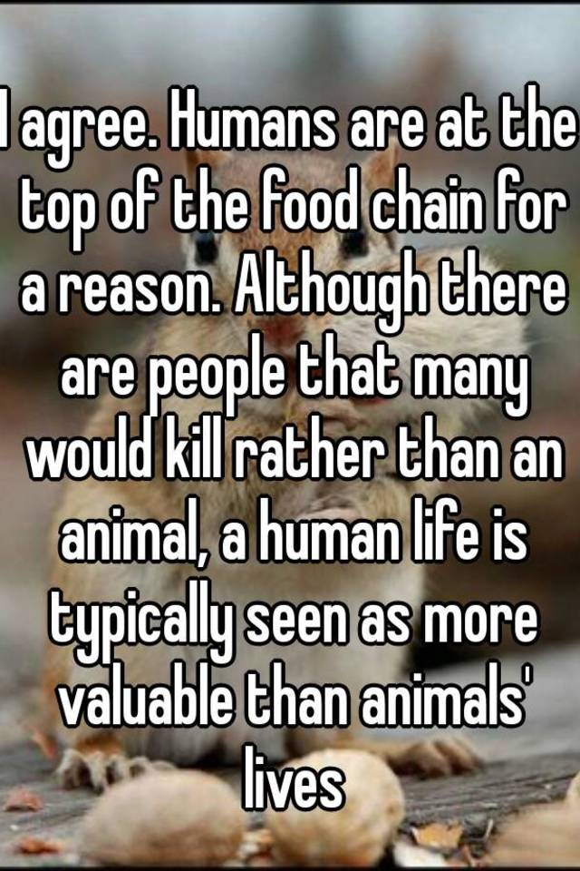 I agree. Humans are at the top of the food chain for a reason. Although  there are people that many would kill rather than an animal, a human life is  typically seen
