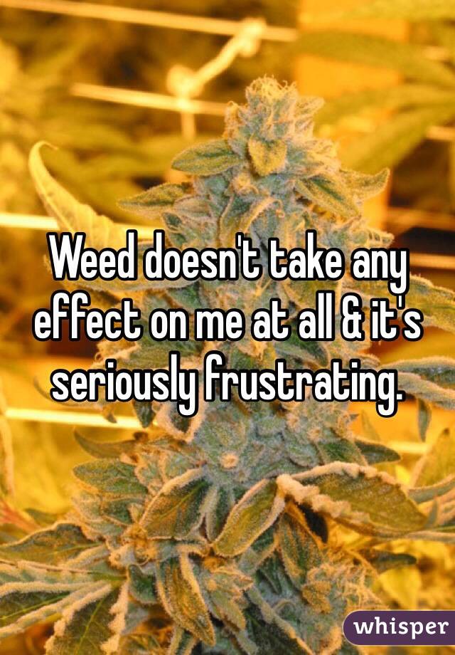 Weed doesn't take any effect on me at all & it's seriously frustrating. 