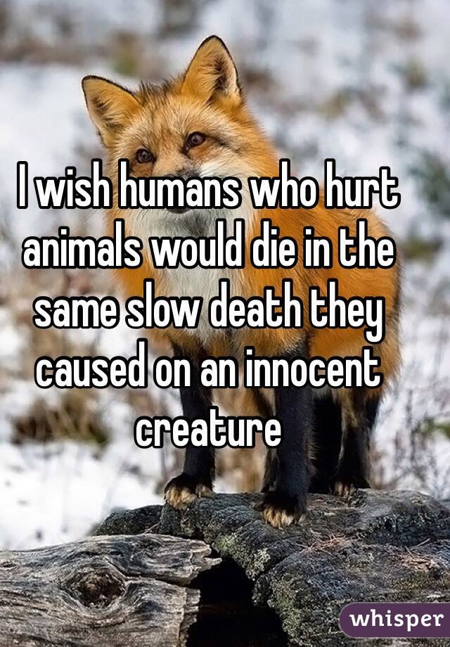I wish humans who hurt animals would die in the same slow death they caused on an innocent creature