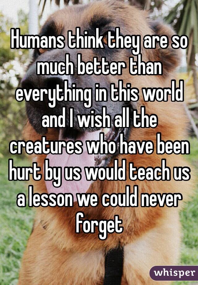 Humans think they are so much better than everything in this world and I wish all the creatures who have been hurt by us would teach us a lesson we could never forget