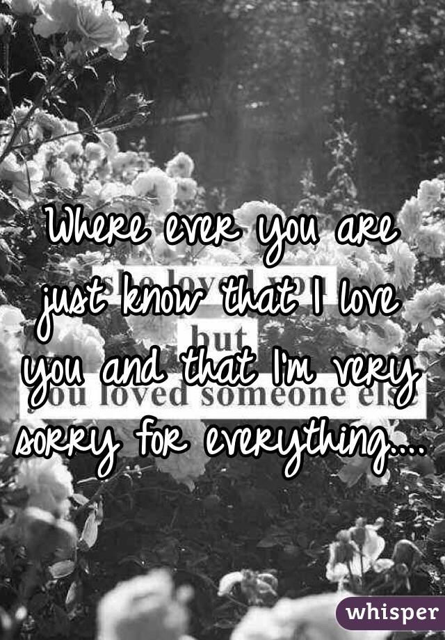Where ever you are just know that I love you and that I'm very sorry for everything.... 