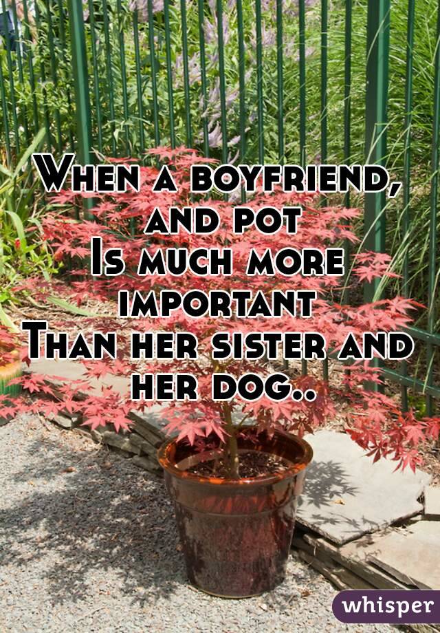 When a boyfriend, and pot
Is much more important 
Than her sister and her dog..
