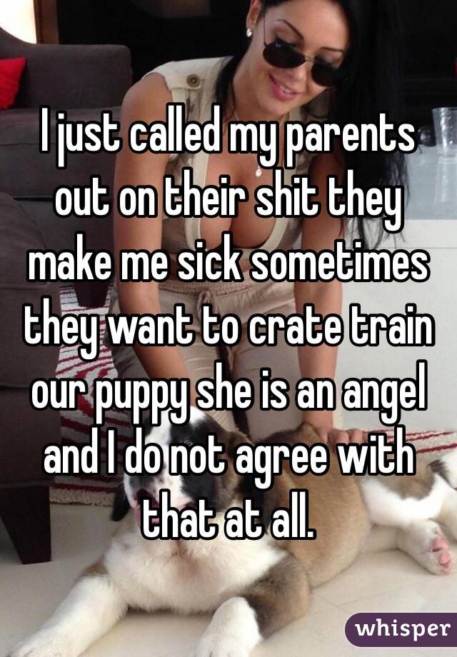 I just called my parents out on their shit they make me sick sometimes they want to crate train our puppy she is an angel and I do not agree with that at all. 