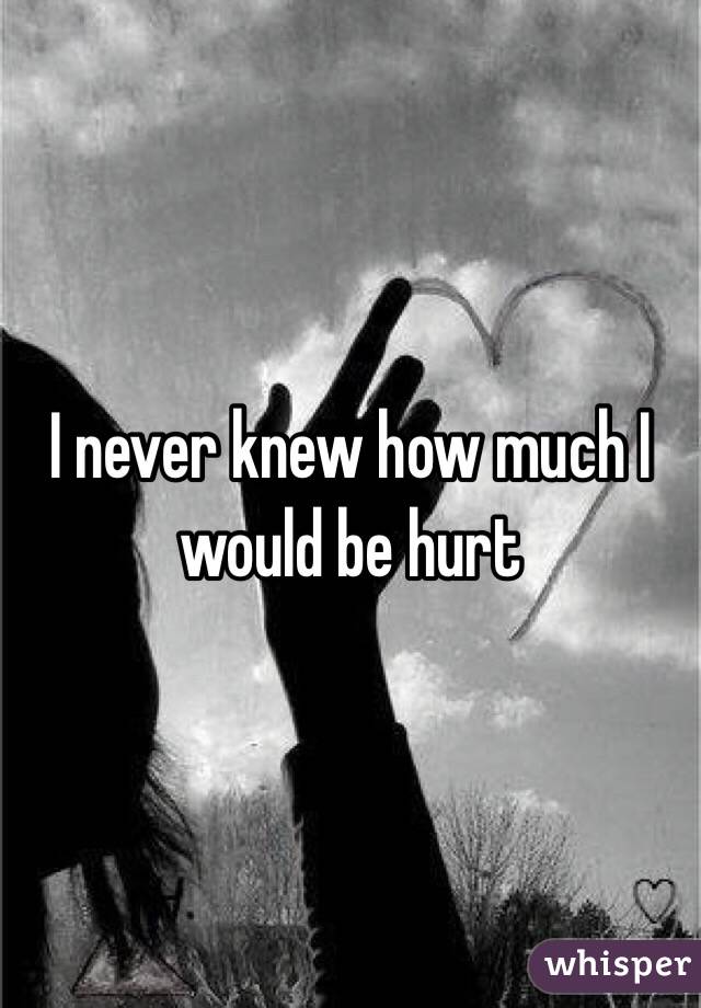 I never knew how much I would be hurt 