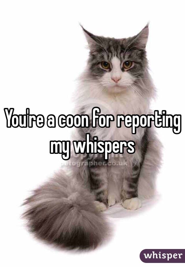 You're a coon for reporting my whispers 