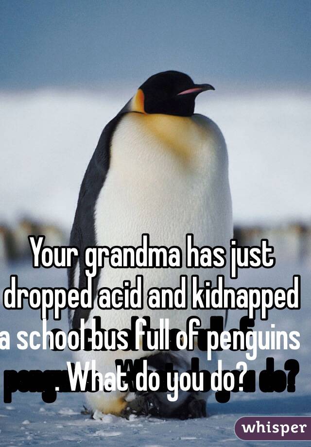 Your grandma has just dropped acid and kidnapped a school bus full of penguins . What do you do?