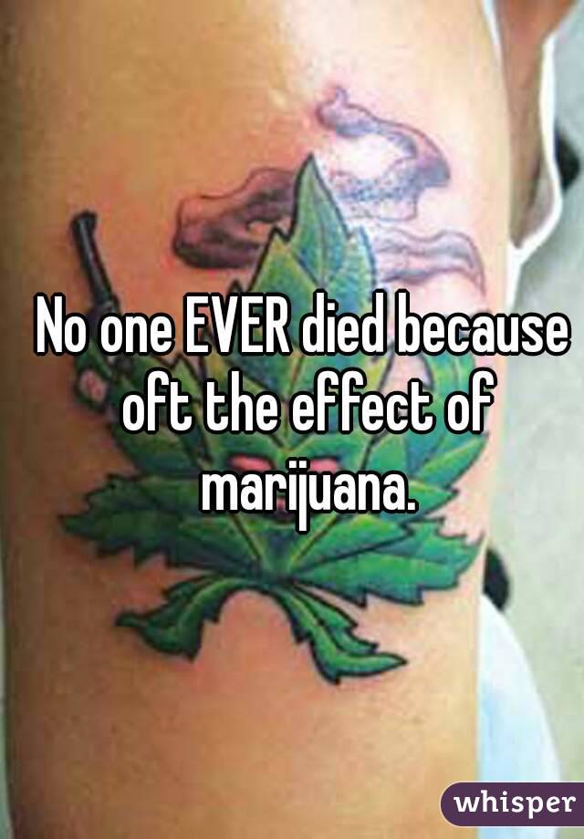 No one EVER died because oft the effect of marijuana.