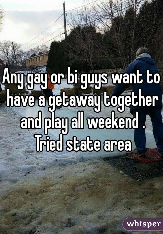 Any gay or bi guys want to have a getaway together and play all weekend . Tried state area