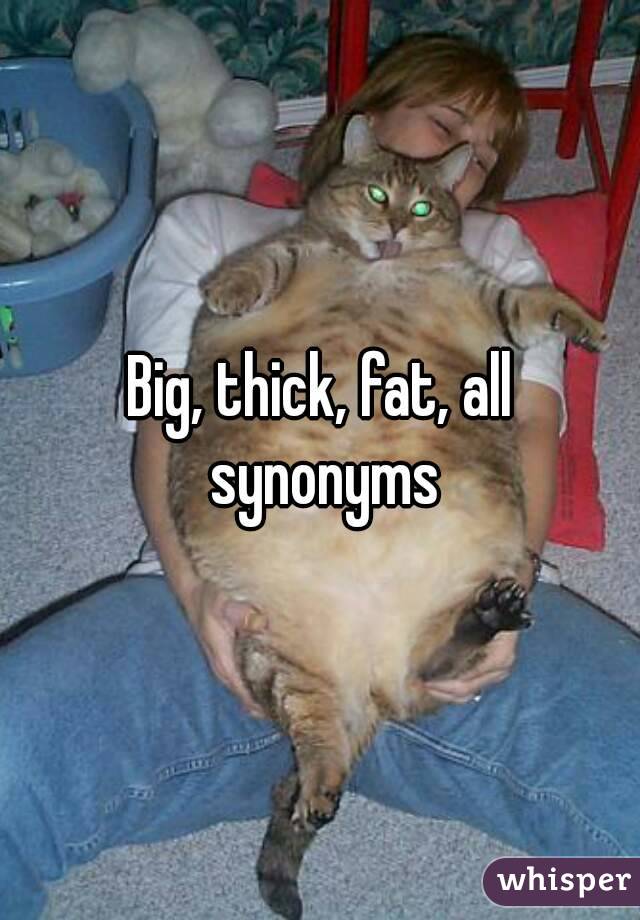 Big, thick, fat, all synonyms