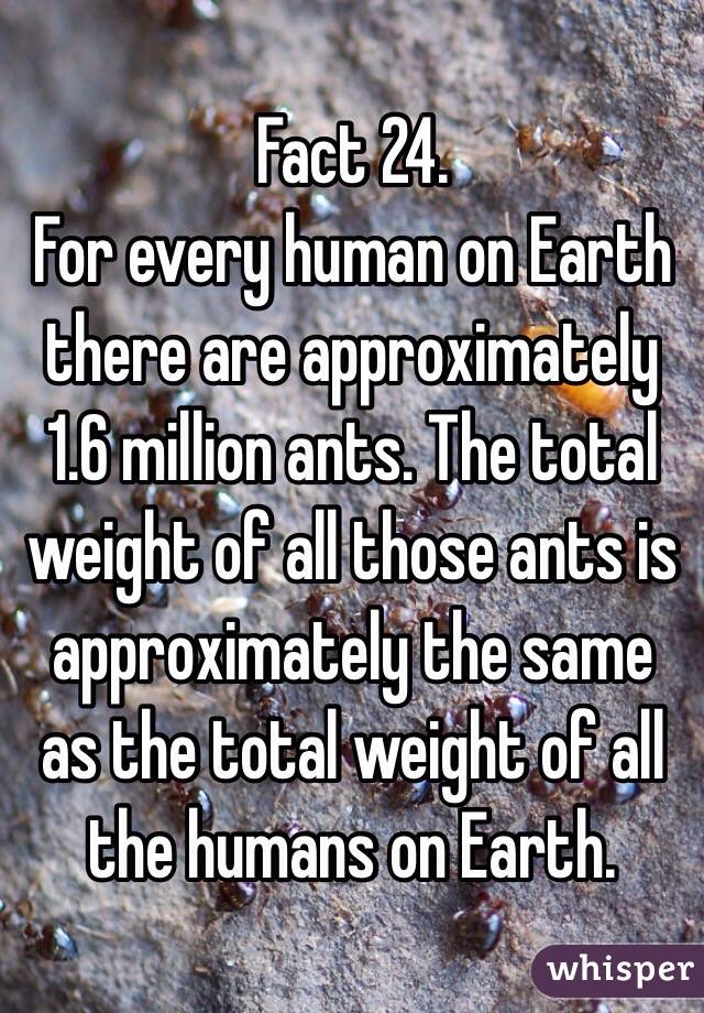 Fact 24.
For every human on Earth there are approximately 1.6 million ants. The total weight of all those ants is approximately the same as the total weight of all the humans on Earth.