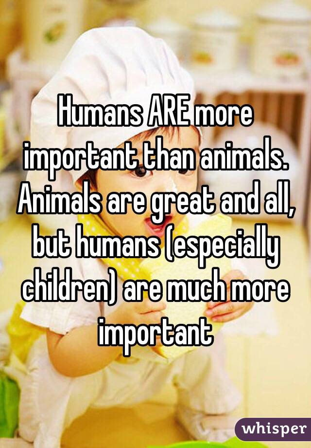 Humans ARE more important than animals. Animals are great and all, but  humans (especially children) are