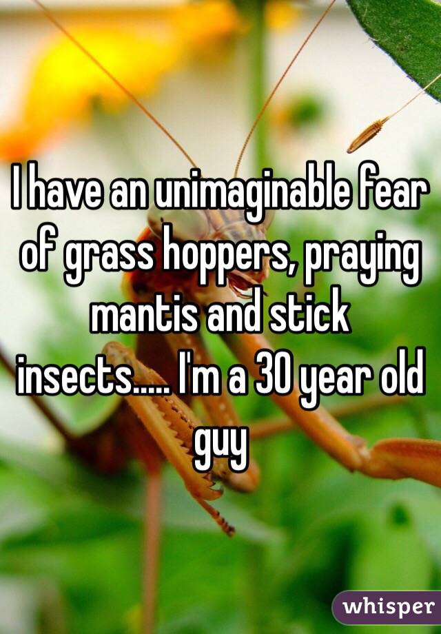 I have an unimaginable fear of grass hoppers, praying mantis and stick insects..... I'm a 30 year old guy