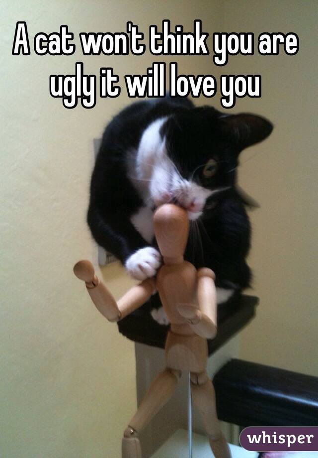 A cat won't think you are ugly it will love you 