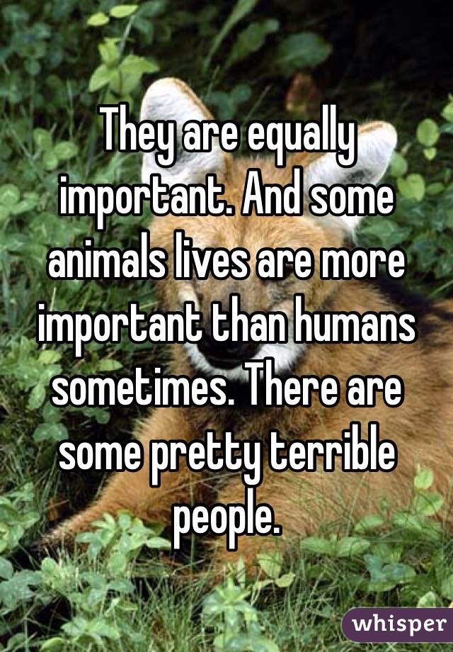 They are equally important. And some animals lives are more important than  humans sometimes. There are