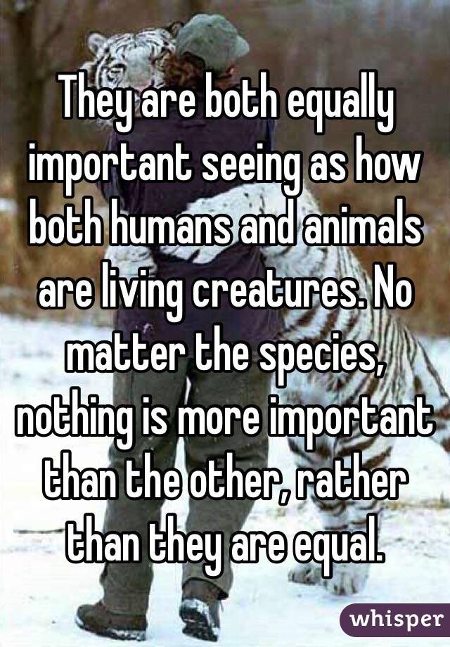 They are both equally important seeing as how both humans and animals are  living creatures. No