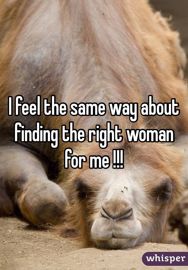 I feel the same way about finding the right woman for me !!!