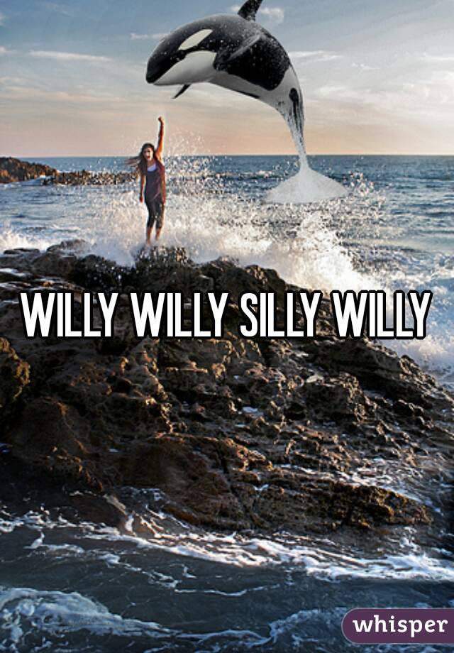WILLY WILLY SILLY WILLY