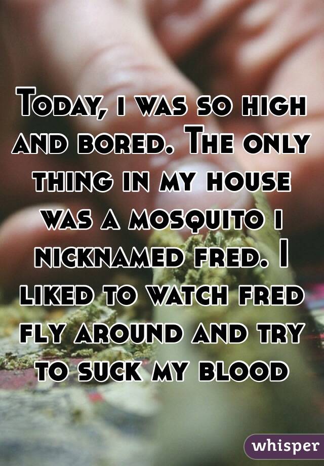 Today, i was so high and bored. The only thing in my house was a mosquito i nicknamed fred. I liked to watch fred fly around and try to suck my blood