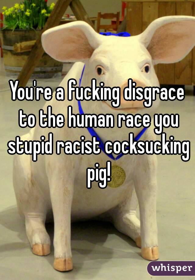 You're a fucking disgrace to the human race you stupid racist cocksucking pig!