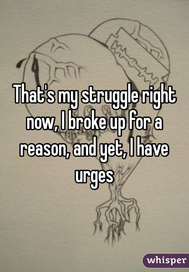 That's my struggle right now, I broke up for a reason, and yet, I have urges