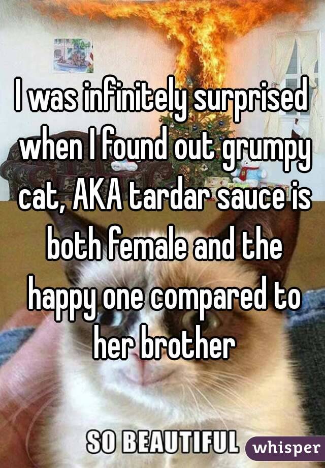 I was infinitely surprised when I found out grumpy cat, AKA tardar sauce is both female and the happy one compared to her brother