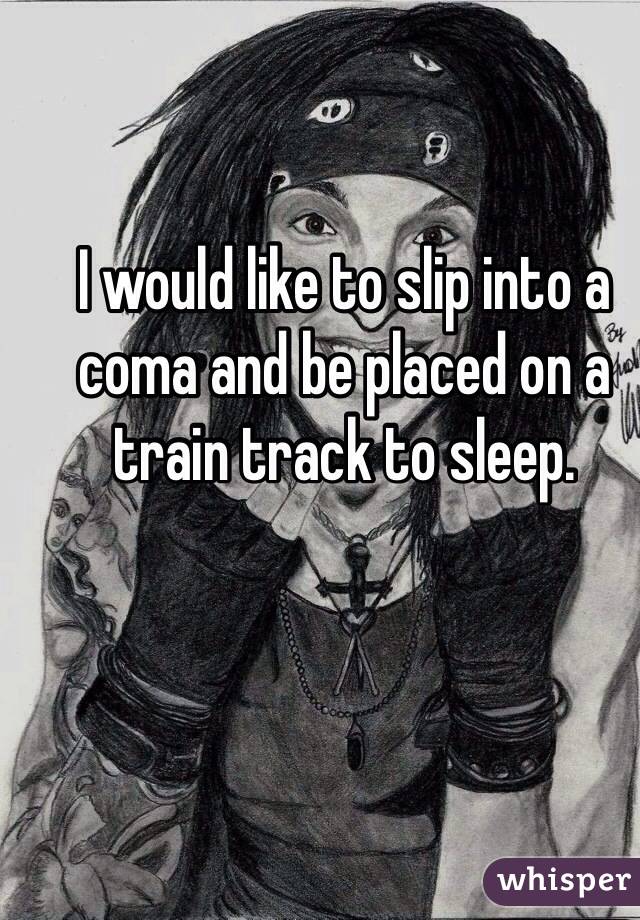 I would like to slip into a coma and be placed on a train track to sleep.