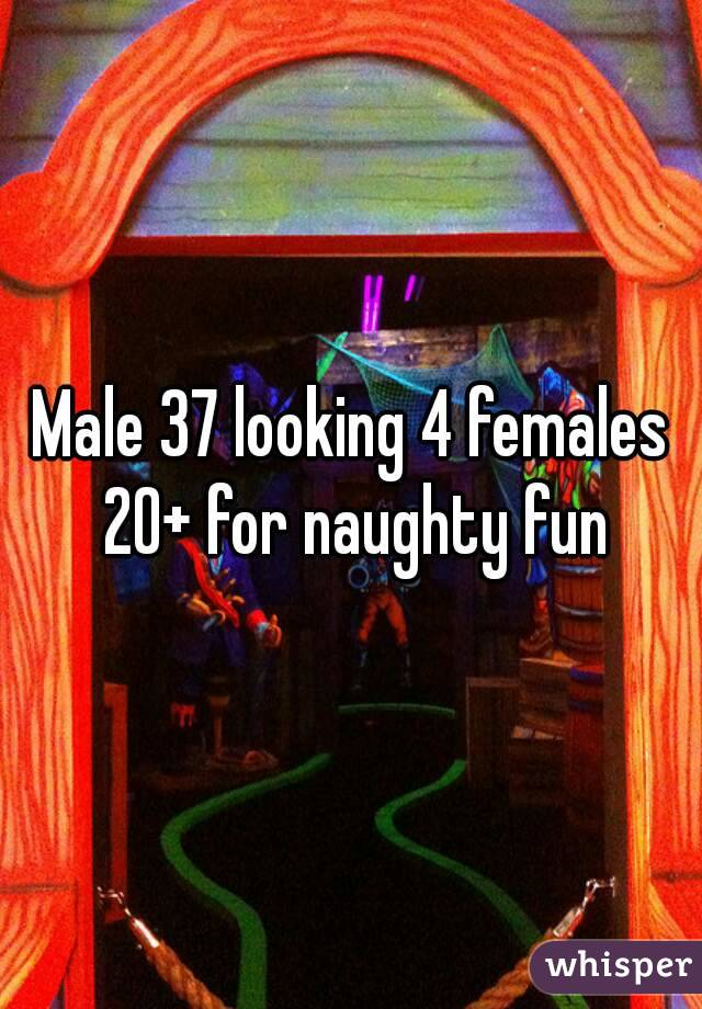 Male 37 looking 4 females 20+ for naughty fun