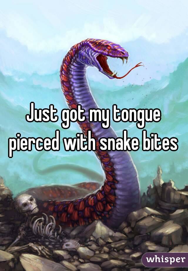 Just got my tongue pierced with snake bites 
