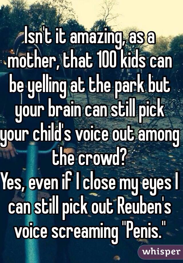 Isn't it amazing, as a mother, that 100 kids can be yelling at the park but 
your brain can still pick your child's voice out among the crowd? 
Yes, even if I close my eyes I can still pick out Reuben's voice screaming "Penis."