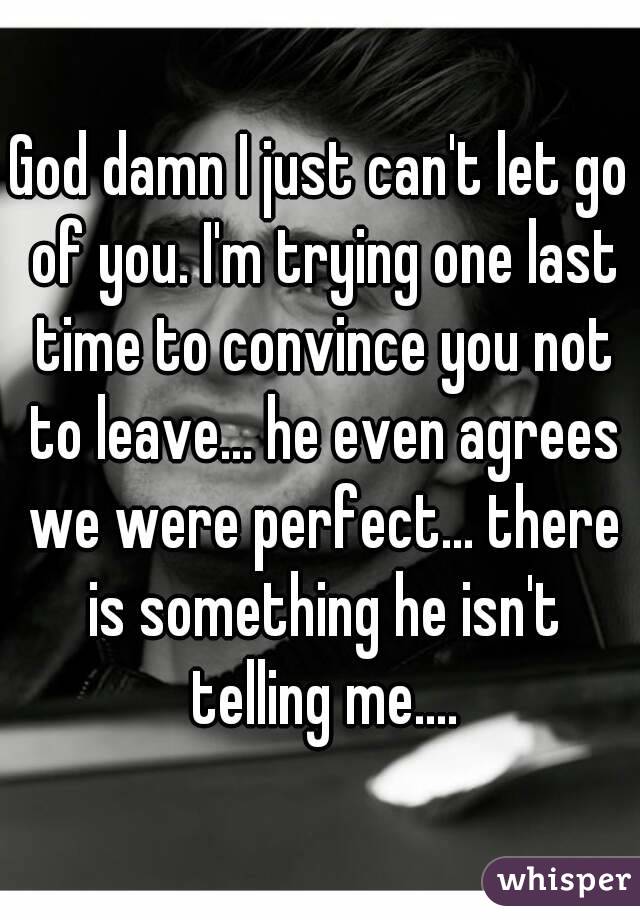 God damn I just can't let go of you. I'm trying one last time to convince you not to leave... he even agrees we were perfect... there is something he isn't telling me....
